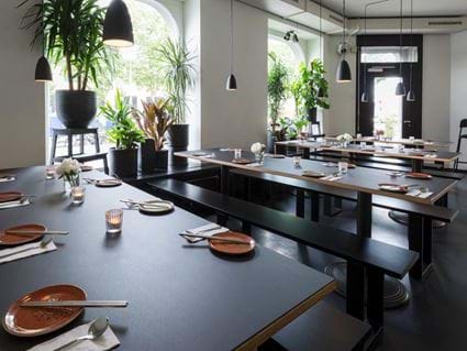 Kin Zurich