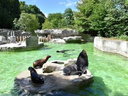 Explorez : Zoo de Munich | Munich | Appart-hôtels design, Locke